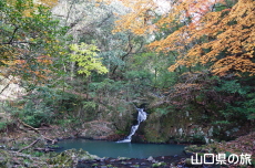 閑山の滝