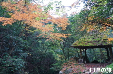 東屋