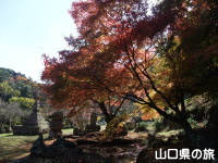 華山神上寺の紅葉
