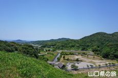 ���΂���̒���