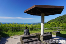 �����ɍ��闷���_