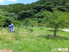 ����E�����W�]�����̐����j�������g