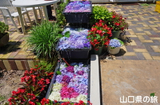 ������������