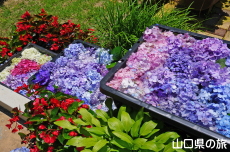 ������������