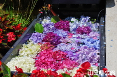 ������������