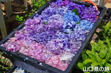 ������������