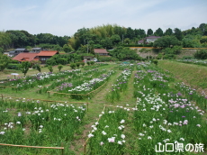 �i��Ҋ���