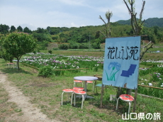 �i��Ҋ���