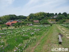 �i��Ҋ���