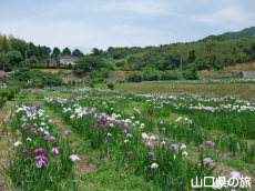 �i��Ҋ���