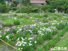 �i��Ҋ���