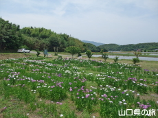 �i��Ҋ���