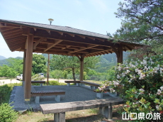 �����R���R�����̓���