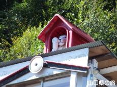 しんとら城