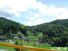 ���쏬���̕悩�猩�����i