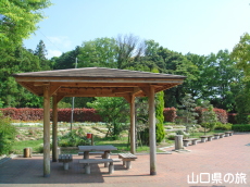 ���t���b�V���p�[�N�L�Y�̃o����
