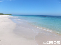 角島大浜海水浴