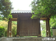 �����@�\��