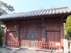 �������Ɣ����~��