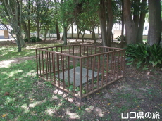 �����j�Ռ����̈��