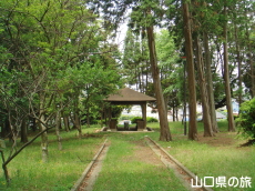 �����j�Ռ���