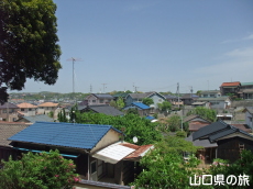 �����j�Ռ�������̒���