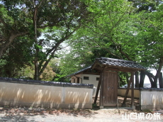 �����j�Ռ����̔���