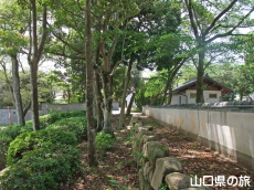 �����j�Ռ����̔���