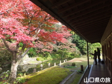 ���S��̍g�t