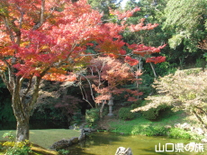 ���S��̍g�t