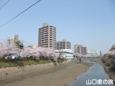 �^��������̍�