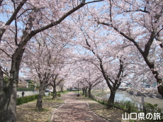 �^��������̍�