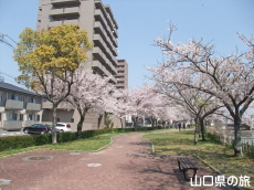 �^��������̍�