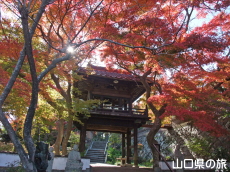 ���}���̍g�t