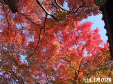 ���}���̍g�t