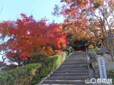 ���}���̍g�t