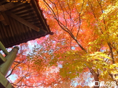 ���}���̍g�t