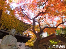 ���}���̍g�t