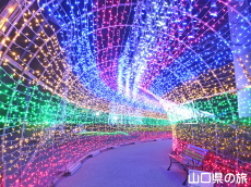 TOKIWAファンタジア2014