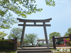 ���������̒���