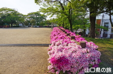 ���������̂�