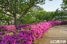 ���������̂�