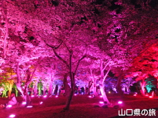 ときわ公園・呼応する森2016