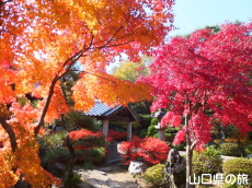 �@�����̍g�t