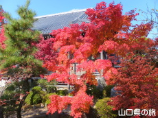 �@�����̍g�t