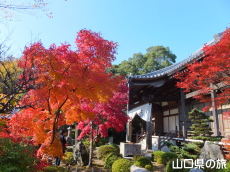 �@�����̍g�t