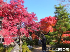 �@�����̍g�t