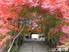 �@�����̍g�t