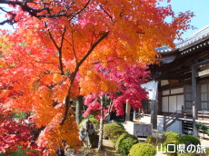 �@�����̍g�t