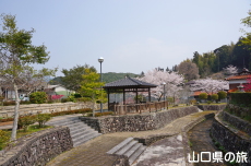 �e�������̍�